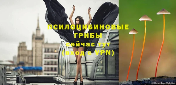 ПСИЛОЦИБИНОВЫЕ ГРИБЫ Абдулино